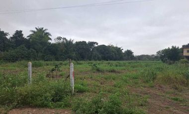 TERRENO EN VENTA CONGREGACION JUANA MOZA TUXPAN VERACRUZ