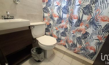 DEPARTAMENTO AMUEBLADO EN RENTA EN EL CENTRO DE LA PAZ BAJA CALIFORNIA SUR