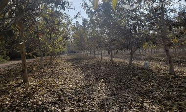 Parcela en Venta en Santa Teresa con El Colorado, Colina