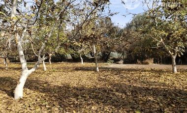 Parcela en Venta en Santa Teresa con El Colorado, Colina
