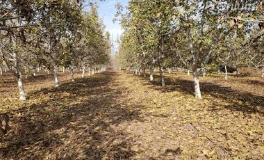 Parcela en Venta en Santa Teresa con El Colorado, Colina