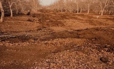 Parcela en Venta en Santa Teresa con El Colorado, Colina