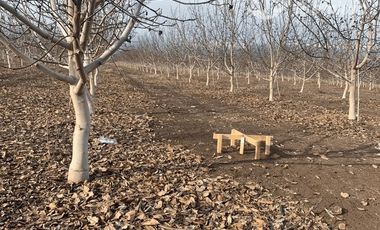 Parcela en Venta en Santa Teresa con El Colorado, Colina