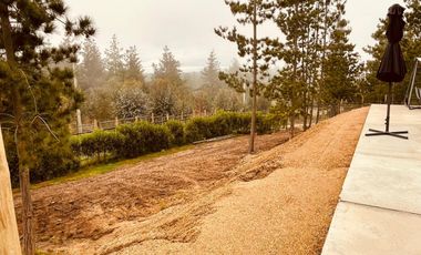 Arriendo por año corrido, Los Centinelas, Algarrobo