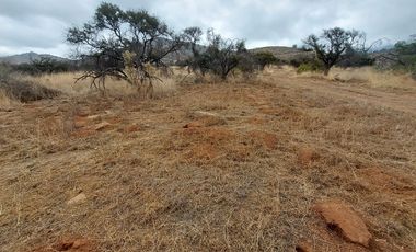Terreno - Oasis de la Campana, 5.131 m²