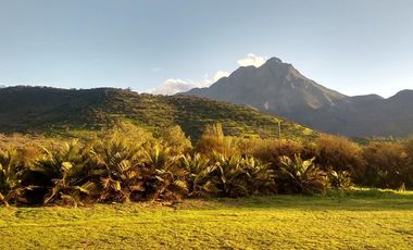 Terreno - Oasis de la Campana, 5.131 m²