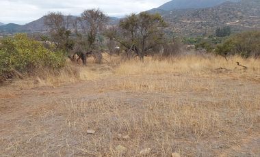 Terreno - Oasis de la Campana, 5.131 m²