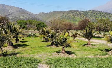 Terreno - Oasis de la Campana, 5.131 m²