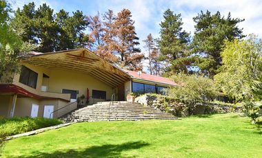 Terreno - Oasis de la Campana, 5.131 m²