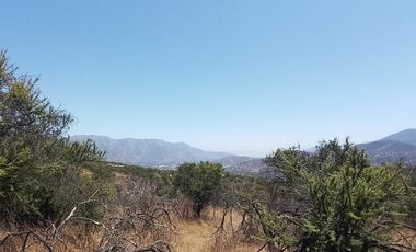 Oasis La Campana Parcela Rebajada