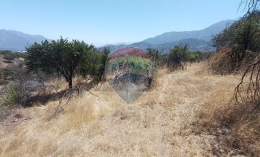 Oasis La Campana Parcela Rebajada