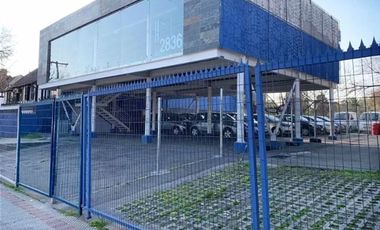Local Comercial en Arriendo en Bilbao - Amapolas - Los Leones