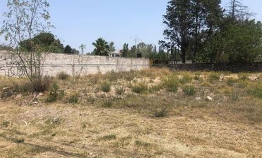 TERRENO COMERCIAL EN RENTA FRENTE A CAMPESTRE SAN ISIDRIO. 6