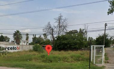 TERRENO COMERCIAL EN RENTA FRENTE A CAMPESTRE SAN ISIDRIO. 6