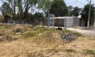TERRENO COMERCIAL EN RENTA FRENTE A CAMPESTRE SAN ISIDRIO. 6