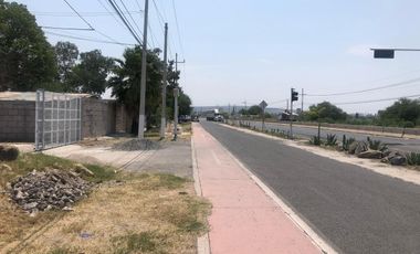 TERRENO COMERCIAL EN RENTA FRENTE A CAMPESTRE SAN ISIDRIO. 6