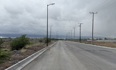 Venta 5 Lotes Industriales de 1133 m2 C/U Magna Park II , Santa Catarina