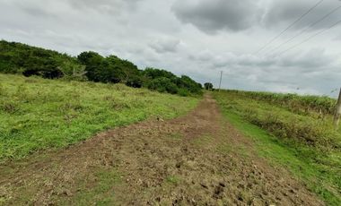 Hectáreas en Venta en Veracruz Tlacotalpan con Cause de Río. Ver