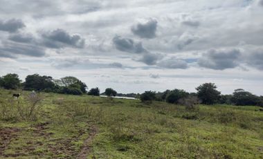 Hectáreas en Venta en Veracruz Tlacotalpan con Cause de Río. Ver