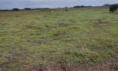 Hectáreas en Venta en Veracruz Tlacotalpan con Cause de Río. Ver