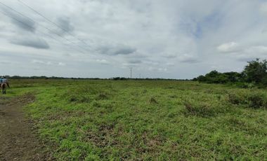 Hectáreas en Venta en Veracruz Tlacotalpan con Cause de Río. Ver