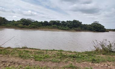 Hectáreas en Venta en Veracruz Tlacotalpan con Cause de Río. Ver