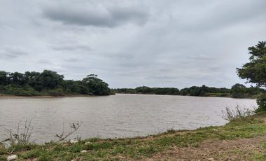 Hectáreas en Venta en Veracruz Tlacotalpan con Cause de Río. Ver
