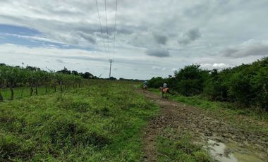 Hectáreas en Venta en Veracruz Tlacotalpan con Cause de Río. Ver