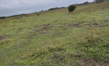 Hectáreas en Venta en Veracruz Tlacotalpan con Cause de Río. Ver