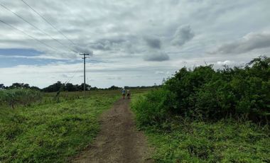 Hectáreas en Venta en Veracruz Tlacotalpan con Cause de Río. Ver