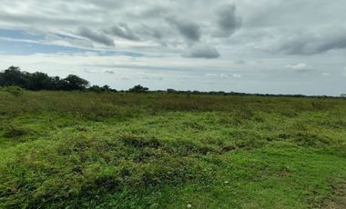 Hectáreas en Venta en Veracruz Tlacotalpan con Cause de Río. Ver