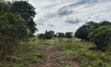 Hectáreas en Venta en Veracruz Tlacotalpan con Cause de Río. Ver