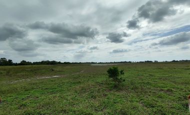 Hectáreas en Venta en Veracruz Tlacotalpan con Cause de Río. Ver