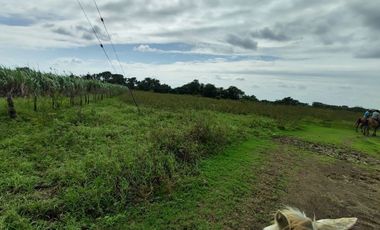 Hectáreas en Venta en Veracruz Tlacotalpan con Cause de Río. Ver