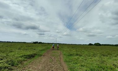 Hectáreas en Venta en Veracruz Tlacotalpan con Cause de Río. Ver