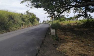 Hectárea en venta en Veracruz. Playa Boca Andrea, Palma Sola. Ver