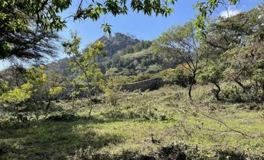 Terreno en venta en Pueblo Santo Domingo Ocotitlán