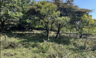 Terreno en venta en Pueblo Santo Domingo Ocotitlán