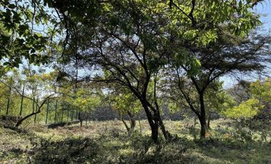 Terreno en venta en Pueblo Santo Domingo Ocotitlán
