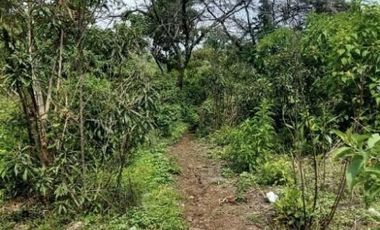 Terreno en venta en Pueblo Santo Domingo Ocotitlán