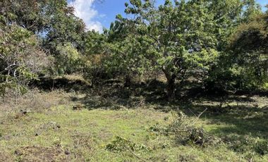 Terreno en venta en Pueblo Santo Domingo Ocotitlán