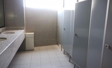 Edificio Comercial en  renta y venta, Coapa