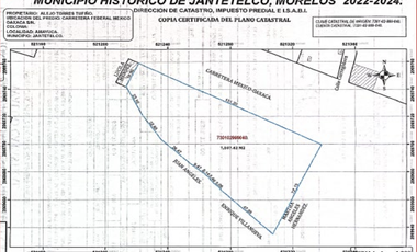 Terreno en venta en Amayuca Jantetelco Morelos