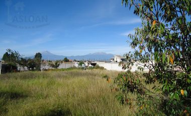 Terreno - Pueblo Santo Toribio Xicohtzingo