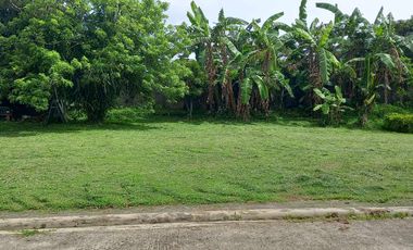 Residential Lot For Sale in Anuling Mendez Cavite -MC