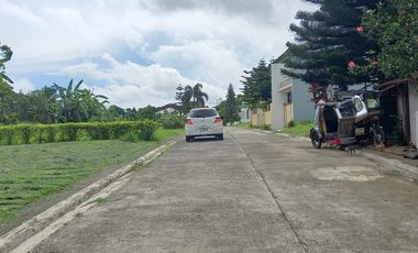 Residential Lot For Sale in Anuling Mendez Cavite -MC