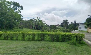 Residential Lot For Sale in Anuling Mendez Cavite -MC