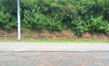 Residential Lot For Sale in Anuling Mendez Cavite -MC