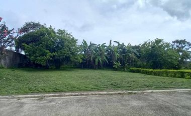 Residential Lot For Sale in Anuling Mendez Cavite -MC