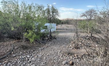 Finca en Venta en Labor de Dolores  8.6 has.